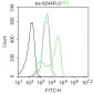 HSP70 Rabbit pAb